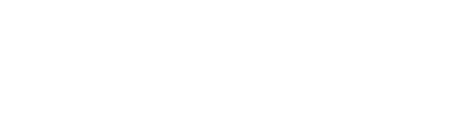 TT Couriers Ltd